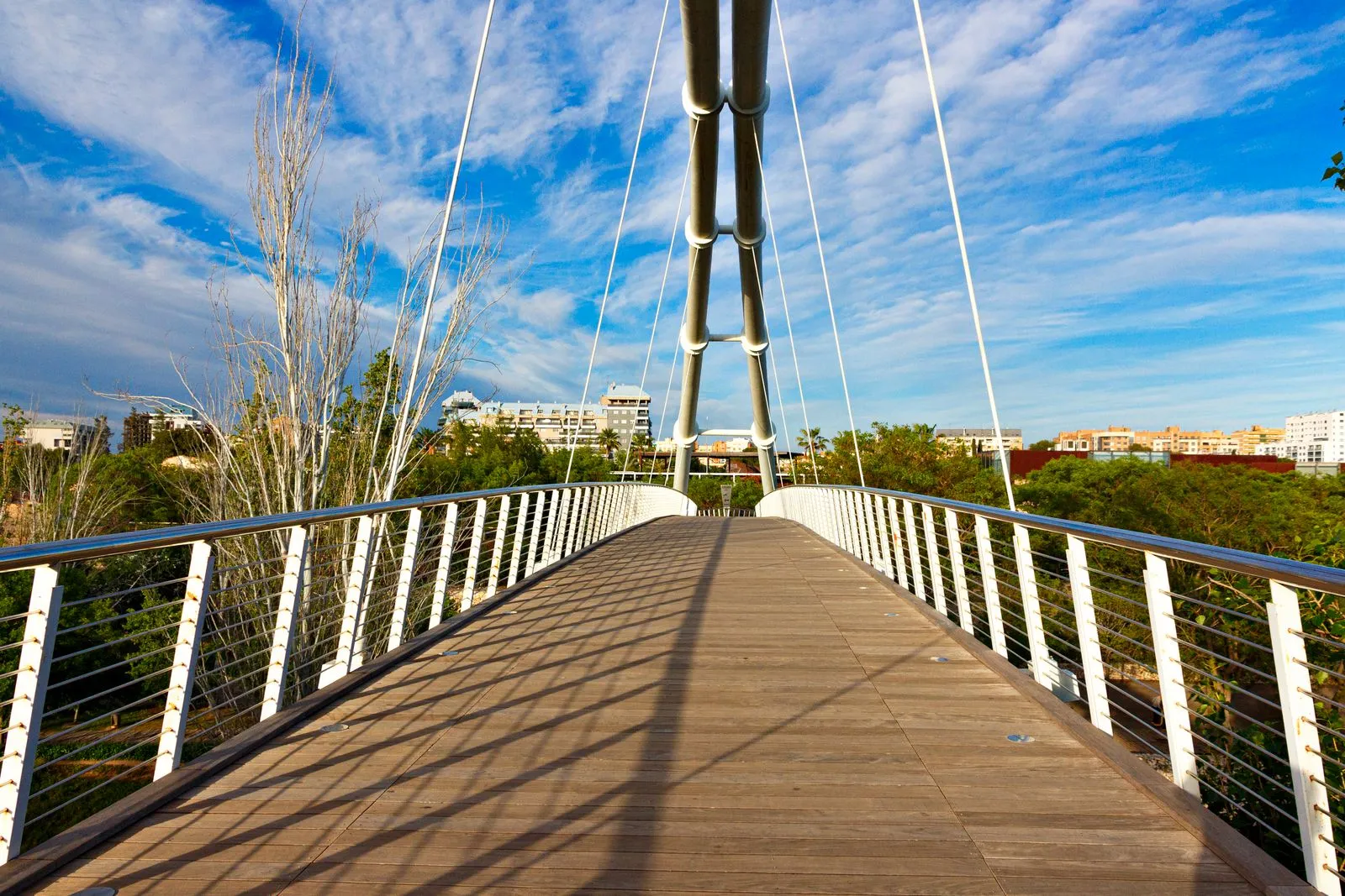 View of a modern suspension footbridge surrounded by greenery in Valencia, Spain.